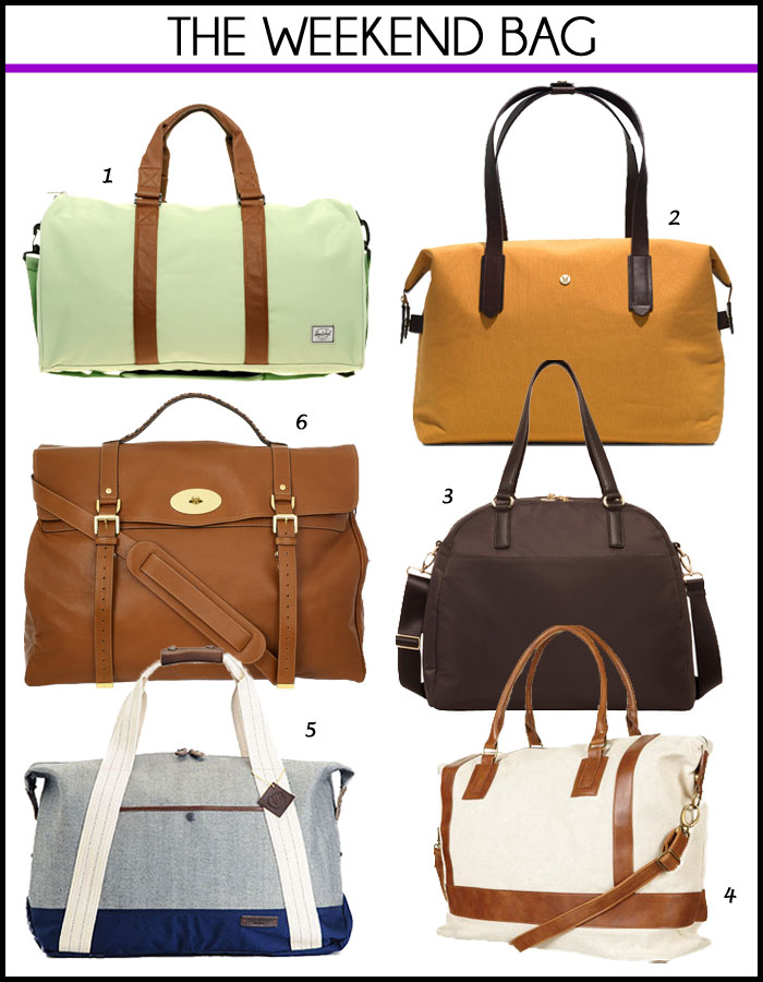 stylish weekender bag