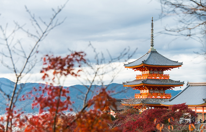 Female solo travel: Japan