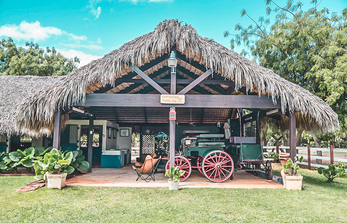 Saddle up at the equestrian center at Casa de Campo. 